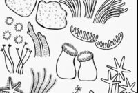 great barrier reef coloring page great barrier reef coloring page