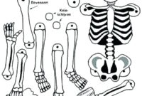 bone coloring pages bone coloring pages