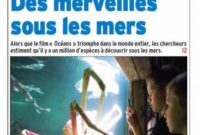 journal des enfants journal des enfants