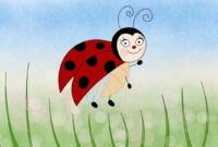 coccinelle demoiselle