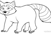coloring page raccoon coloring page raccoon