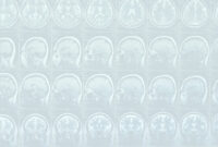 27 ptc manual background