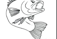 rainbow trout coloring page rainbow trout coloring page