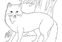 realistic fox coloring pages