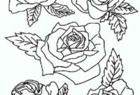 color pages roses