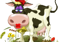 download dessin a imprimer vache gratuit gif