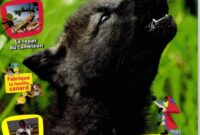 wakou dessin wakou dessin