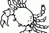 sand dollar coloring page sand dollar coloring page