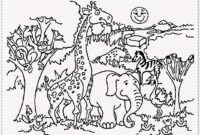 realistic zoo coloring pages realistic zoo coloring pages