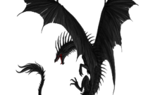 view coloriage dessin dragon png