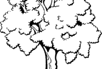 29 dessin imprimer gratuit background