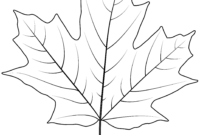 dedessin feuille derable pour imprimer dedessin feuille derable pour imprimer