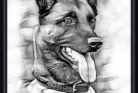 comment dessiner un malinois