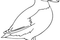 puffin coloring page puffin coloring page
