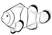 realistic ocean coloring pages realistic ocean coloring pages