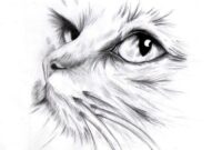 tete de chat dessin