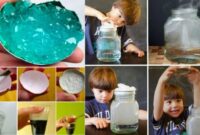 experience scientifique primaire