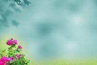 download youserguide com background