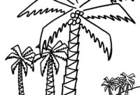palm tree coloring pages