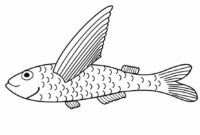 ausmalbilder fische kostenlos ausdrucken ausmalbilder fische kostenlos ausdrucken