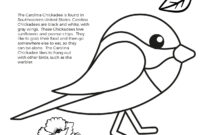 chickadee coloring page chickadee coloring page
