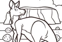 free kangaroo coloring pages free kangaroo coloring pages