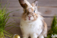 warum wird ostern gefeiert