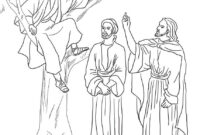 zacchaeus color page zacchaeus color page