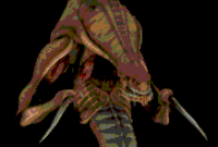 download venom dessin a imprimer gif