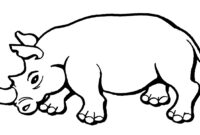 rhino colouring rhino colouring
