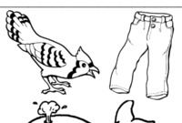 blue color page blue color page