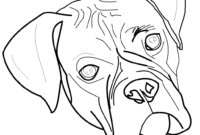 boxer coloring pages