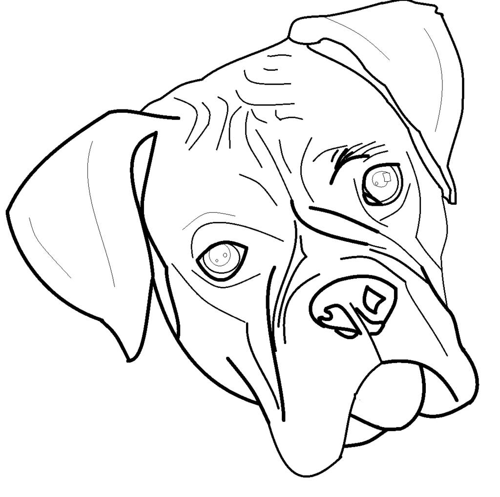 Boxer Dog Line Drawing at GetDrawings | Free download