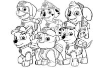 dessin a colorier facile patte patrouille dessin a colorier facile patte patrouille