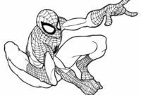 27 coloriage dessin spiderman images