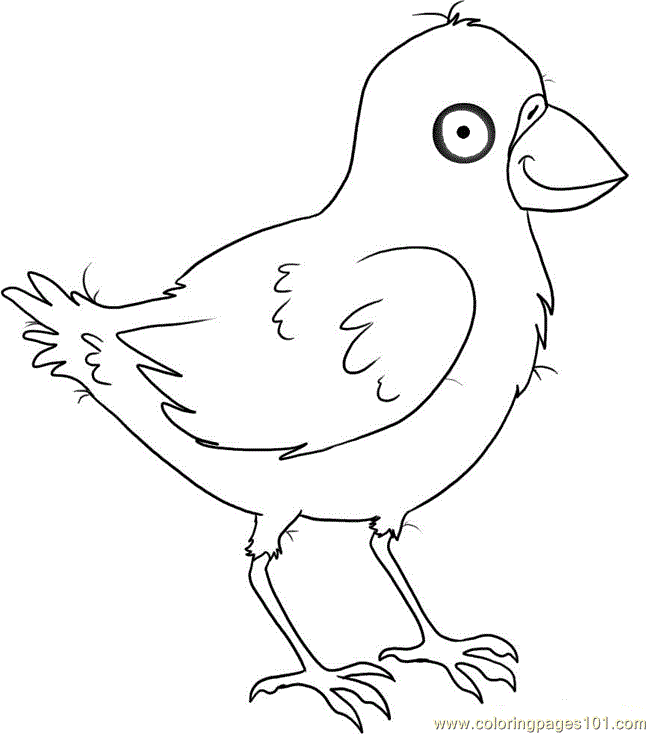 Coloring Pages Little Crow (Birds > Crow) - free printable coloring