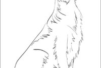 dessin de golden retriever a imprimer