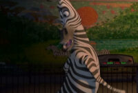 nom du zebre dans madagascar nom du zebre dans madagascar