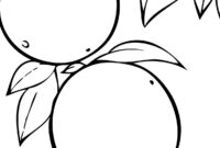 coloring pages mango