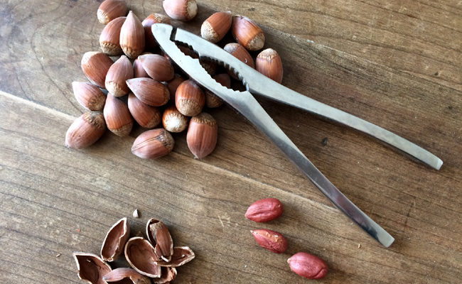 La noisette : récolte, conservation et utilisation des noisettes