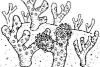 ocean floor coloring page ocean floor coloring page