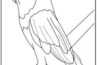 coloriage de perroquet a imprimer gratuit