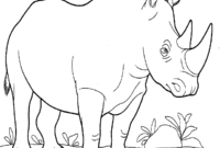 rhinoceros coloring pages rhinoceros coloring pages
