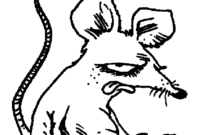 colouring pages of rat