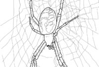 scary spider coloring pages scary spider coloring pages