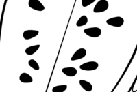 watermelon slice coloring page