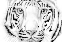 white tiger coloring page white tiger coloring page