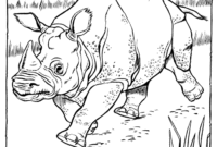 rhinoceros coloring page rhinoceros coloring page