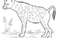 hyena coloring page hyena coloring page