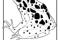 coloring pages rainforest